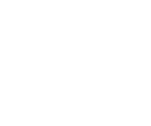 Logo onwood ok bianco 2026 v1